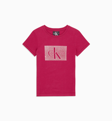 Calvin Klein dámske bordové tričko Monogram - XS (509)