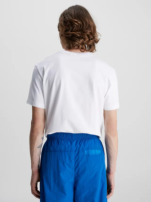 Calvin Klein pánske biele tričko COLORED ADDRESS SMALL BOX - L (YAF)