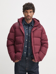 Tommy Hilfiger pánska vínová bunda - L (VLP)