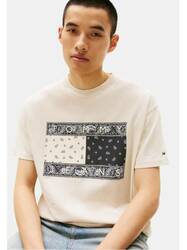 Tommy Jeans pánske béžové tričko - L (ACG)