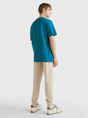 Tommy Jeans pánske modré tričko SIGNATURE - S (C22)