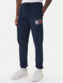 detail TJM SLIM RWB FLAG SWEATPANT