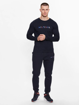 nahlad Tommy Hilfiger pánske tmavo modré tričko