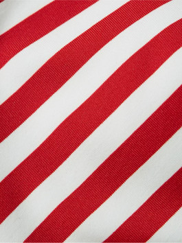 nahlad Tommy Hilfiger dámska pruhovaná plavková podprsenka